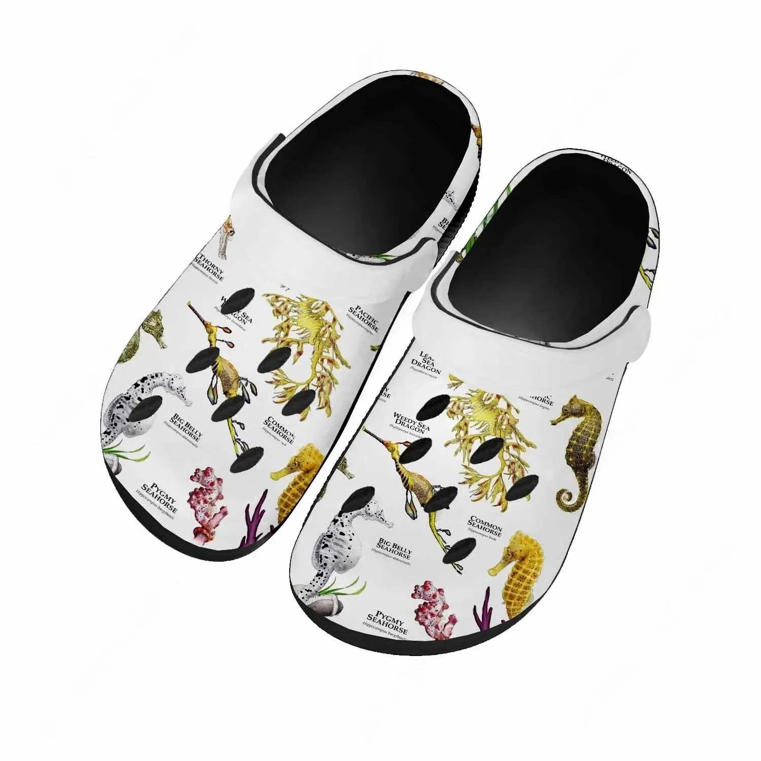 Сандалии Seahorse для женщин и – обзор и цена Men Shoes High